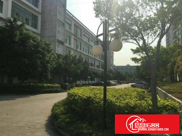 惠阳镇隆新出一二楼4000平米全新厂房形象好空地大