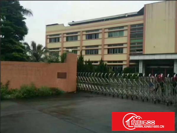 常平超靓分租1楼600平米厂房招租