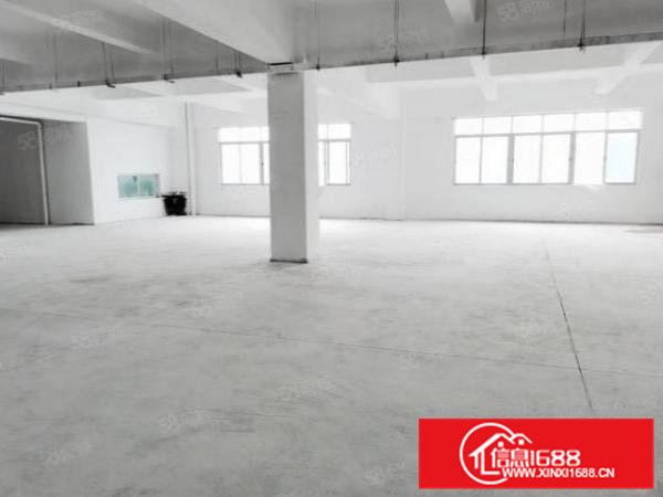 茶山新装修标准厂房800平配套齐全园区空地大周边易招工