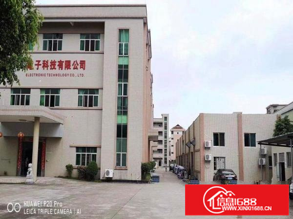 常平新出10元全新装修水电齐全二楼800平超大前台