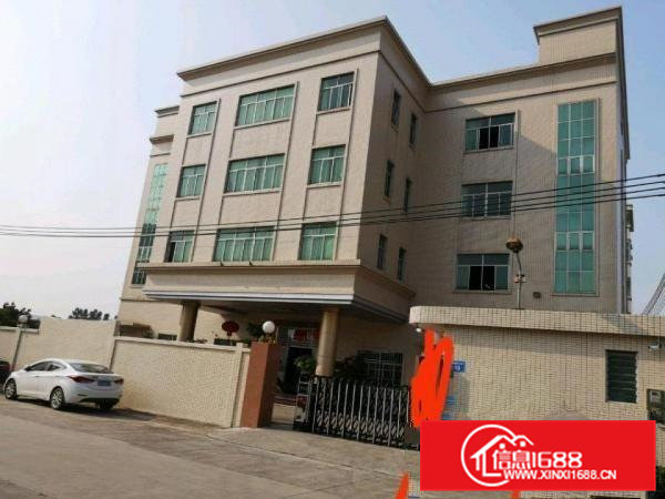 茶山原房东独院厂房出租