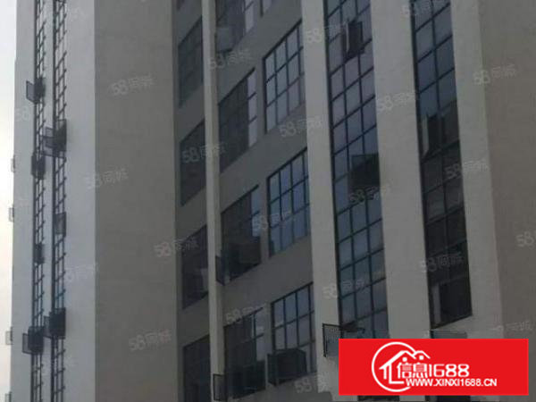 独门独院，空地大，标准工业厂房