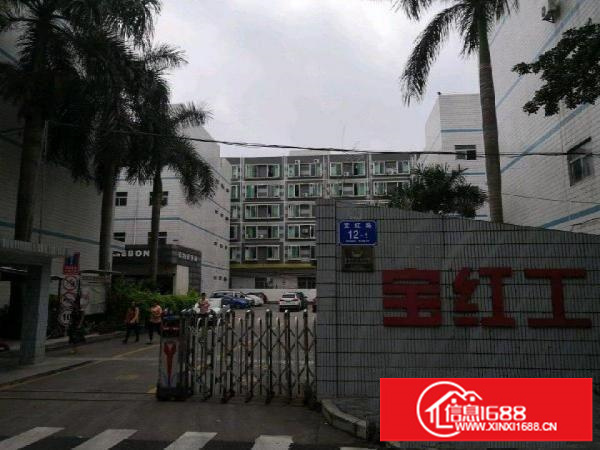 坑梓宝红路12-1厂房3000平可分租