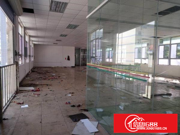 凤岗漂亮工业园空出大量厂房带装修600方起租