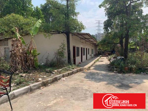 塘厦平山原房东钢构独院