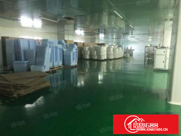 六约小面积红本厂房出租有装修200平300平分租