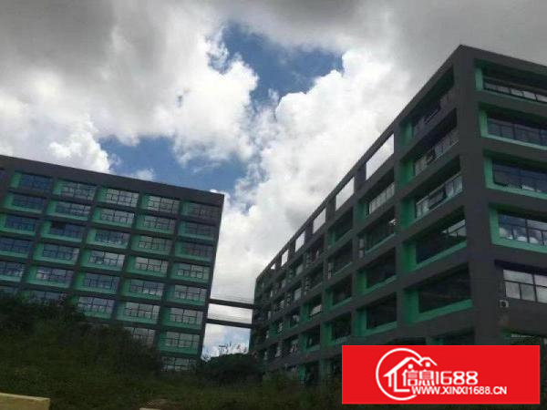 坪山红本超气派工业区25000平米独院厂房