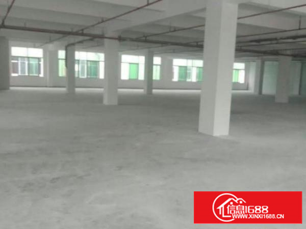 高埗花园式独院标准厂房独栋10000平方出租可分租