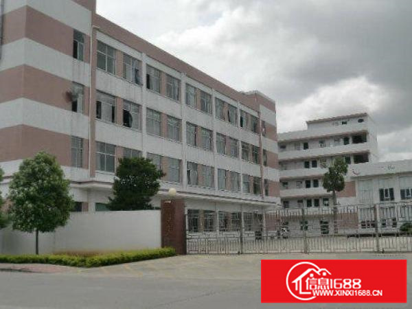 出租坪山新区三洋湖工业区标准带喷淋消防厂房二楼1300平方