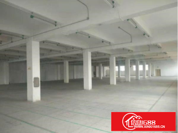 坪山原房东红本独院4800平可办环评500平可分组