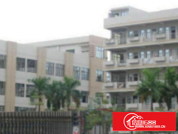 万江带现成装修标准一楼600平方招租2间办公室装修，现成水电