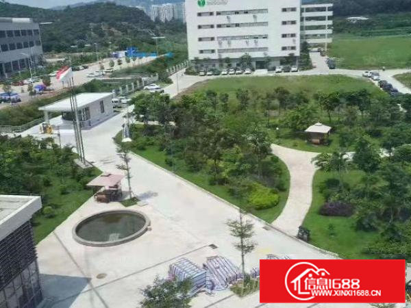 虎门滨海湾新区2500花园式厂房特价招租可办环评天然气己接入