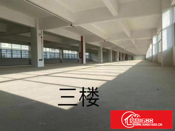 出租清溪谢坑工业区新厂房