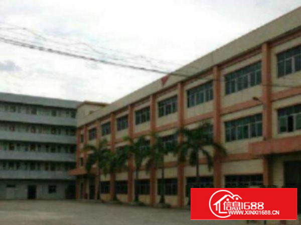 万江周边标准厂房出租每层1200方可以分租