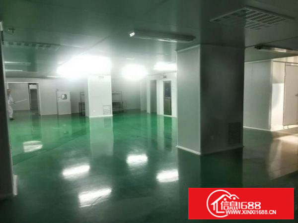 万级无尘车间3000平，实际面积，无转让费