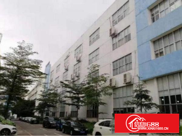 石岩黎光一楼380平方厂房出租，带消防喷淋，适合各种行业