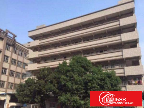 平湖鹅公岭新出标准厂房楼上1200平出租水电齐全空地大