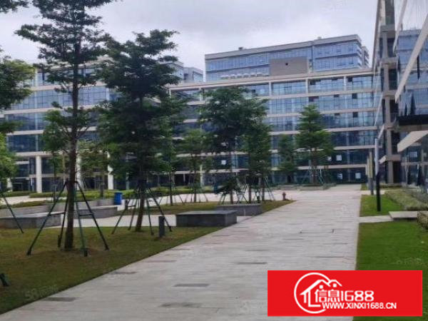 项目直租（光明红本30000平方）房东出租大小可分