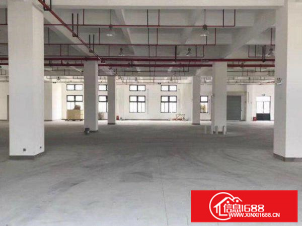 出租惠阳新墟4800平方独院三层厂房