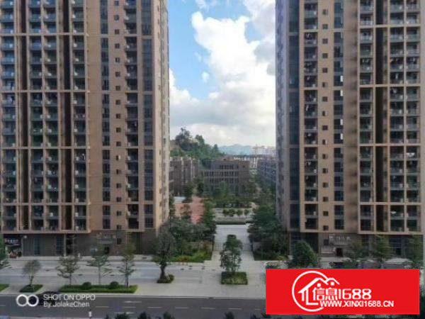 松岗桃花源一期琦丰达大厦