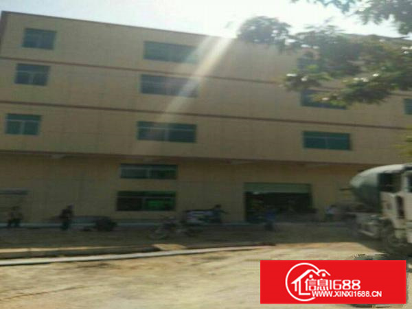 原房东，独栋厂房1950平方厂房