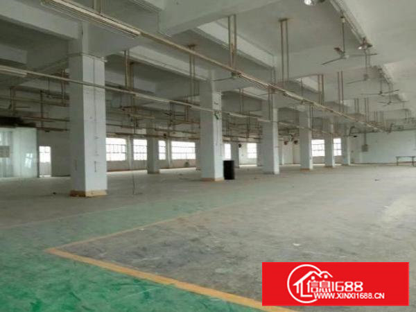 原房东独栋厂房出租带现成无尘车间
