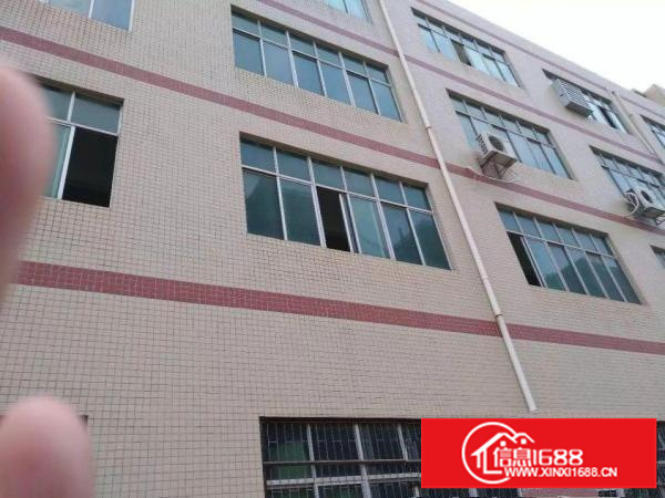 横岗一楼厂房5007801300平米单价24元