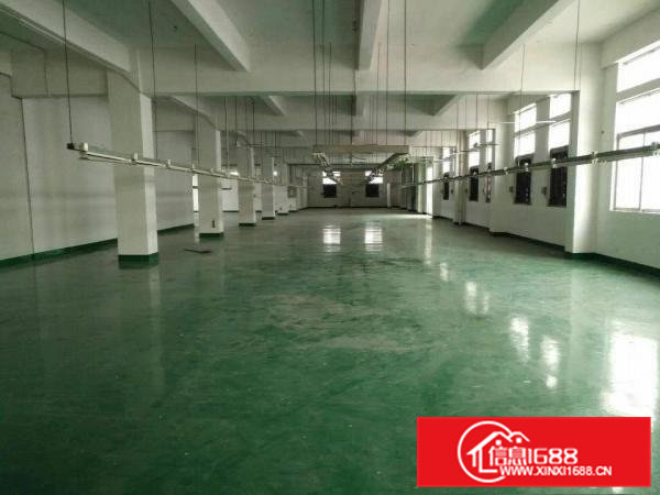 原房东出租4000平方独门独院标准厂房