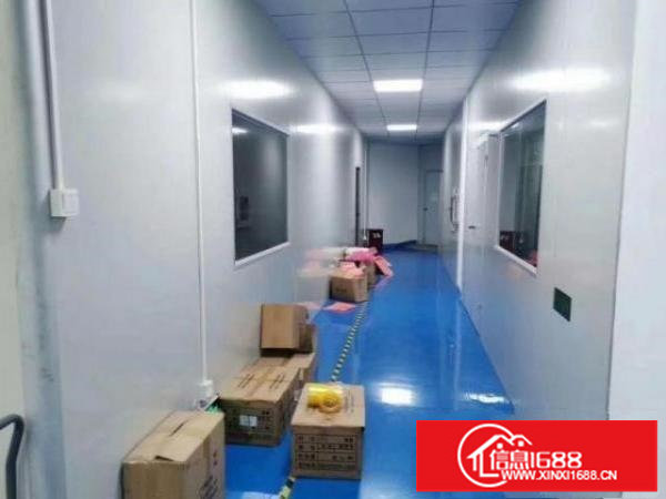 观澜凹背新出千级无尘车间720平方出租，精装修，即租即用