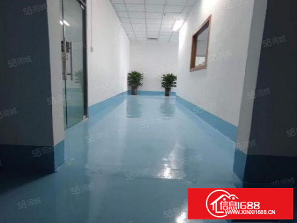 横沥镇水边工业区原房东独院单一层钢结构1000平带12吨航车