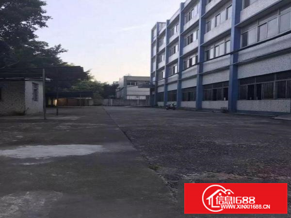 布吉南岭独院厂房4300平米 钢结构1860平米