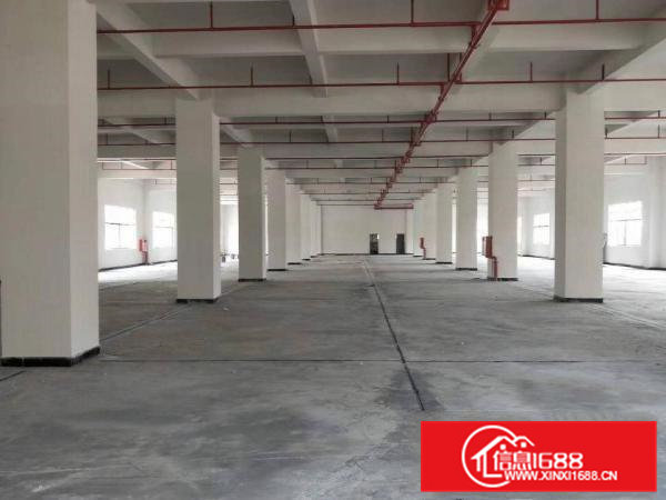 石排全新独院5000平方米重工业厂房招租，可分租