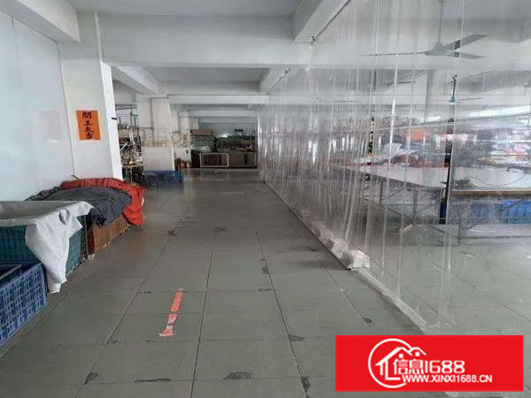 茶山镇卢边本地房东3楼800平现成制衣厂形象好易招工