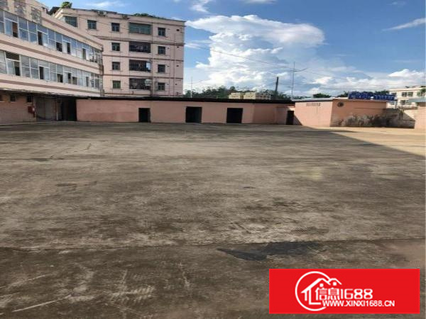 惠阳秋长维布新出原房东6000平一楼层高5米