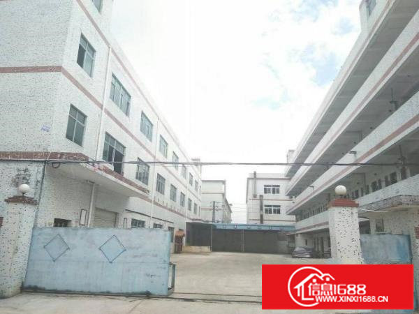 龙岗区横岗新出3600平原房东独院标准厂房出租