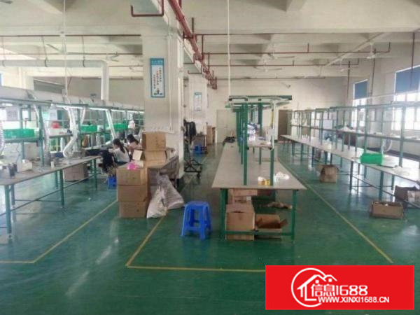 东坑井美楼上整层1000平米带精装修