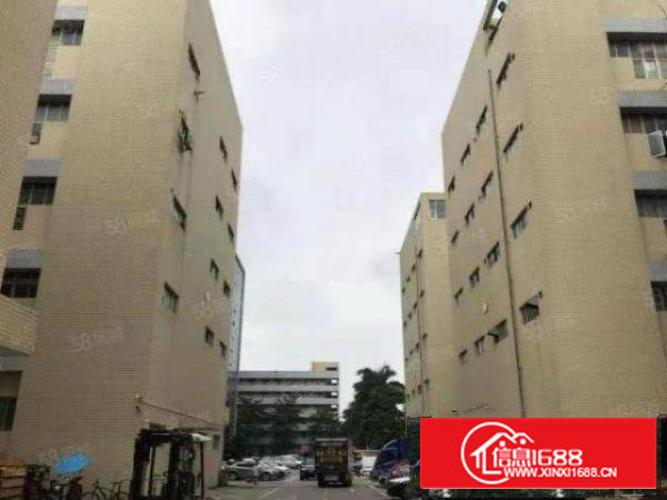 沙井180平小面积厂房出租，面积实在