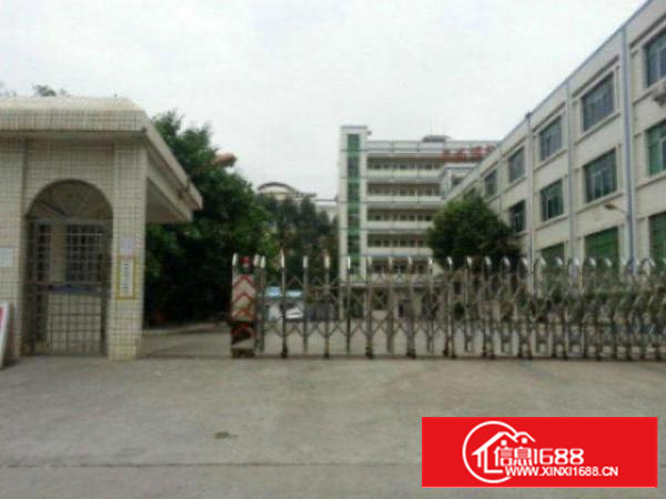 高埗独院标准一楼或二楼2000平方厂房出租带现成办公室装修