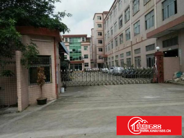 同乐浪背原房东无公摊楼上整层1200平15元出租