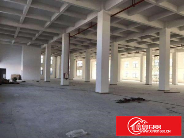 龙眼工业区原房东一楼900平方出租原房东可办环评