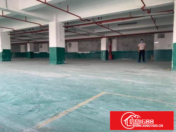 平湖厂房出租辅城坳一楼现成办室2000平300平起分