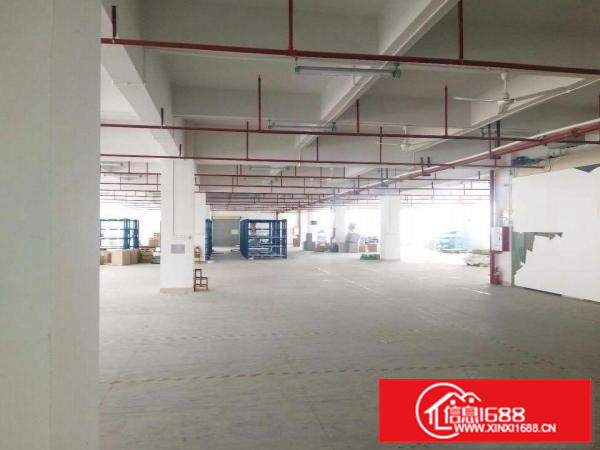 惠阳秋长白石标准厂房厂房2600平米