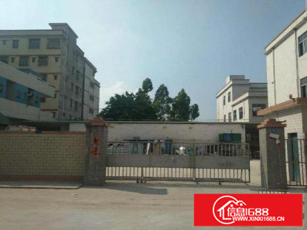 仲恺潼侨独院独院大路旁3300厂房招租，带国有证书