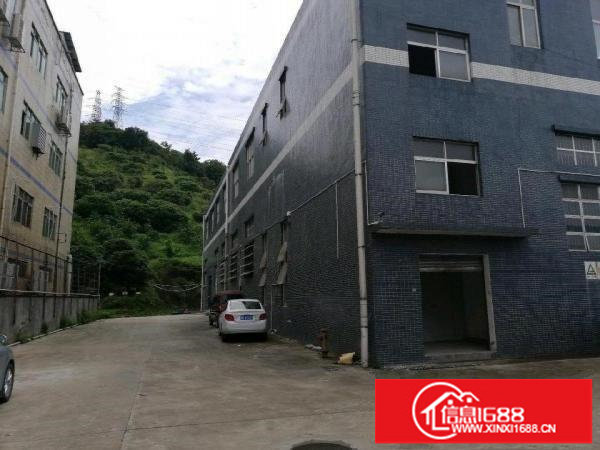 横岗横坪公路旁新出原房东一楼厂房435平米