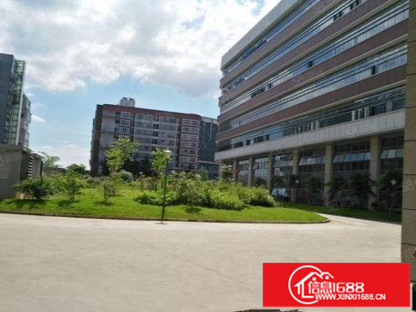 清溪三中2000平方厂房出租11元全新车间办公室装修拎包入住