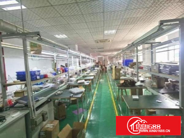 塘厦蛟乙塘社区楼上带装修800平厂房出租