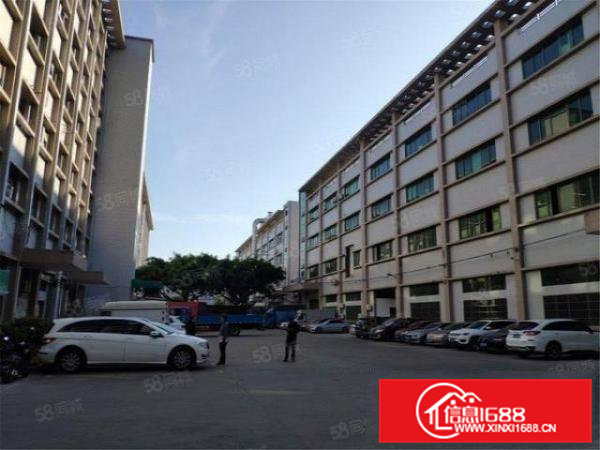 大朗佛子凹工业园区新出一楼650方带航车二楼650方带装修