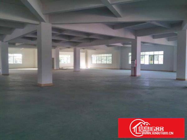 上坑招租独门独院标准厂房3800平方带无尘车间