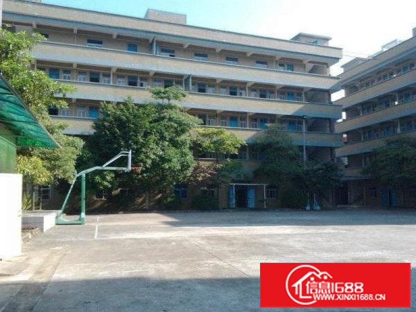 布吉联创科技园892平开发商直租厂房园区配套成熟