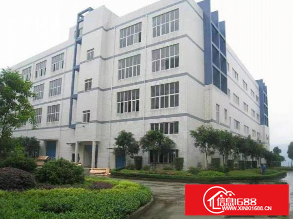 大岭山豪华装修标准厂房二楼楼1000平出租，价格美丽